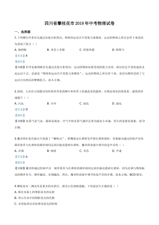 精品解析：2019年四川省攀枝花市中考物理试题（解析版）.doc