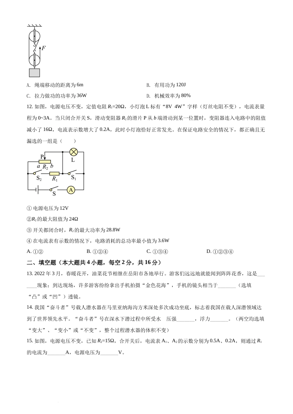 精品解析：2022年湖南省岳阳市中考物理试题（原卷版）(1).docx_第3页