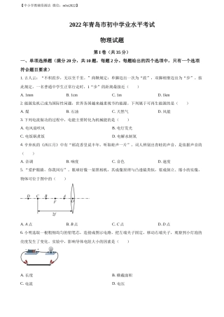 精品解析：2022年山东省青岛市中考物理试题（原卷版）.docx