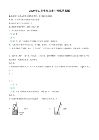 2020年中考化学解析(1).doc