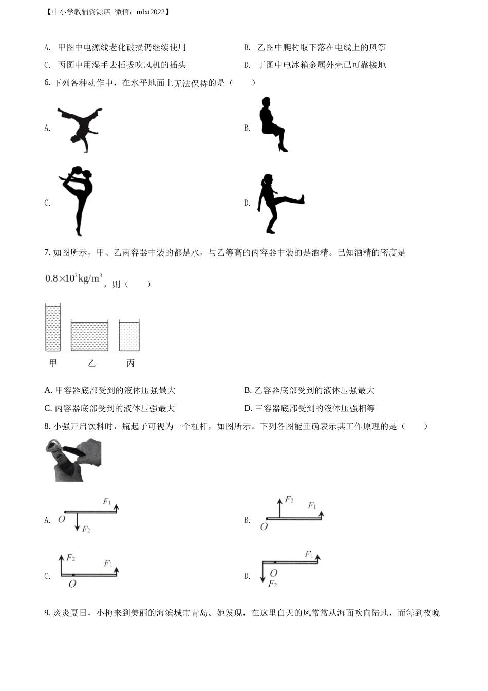 精品解析：2022年山东省济南市中考物理试题（原卷版）.docx_第2页