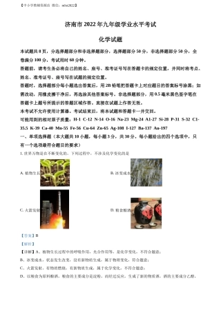 精品解析：2022年山东省济南市中考化学真题（解析版）.docx