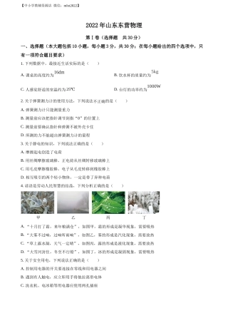精品解析：2022年山东省东营市中考物理试题（原卷版）(2).docx