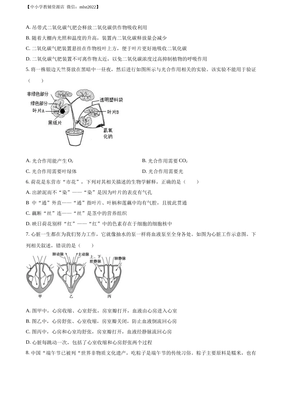 精品解析：2022年山东省东营市中考生物真题（原卷版）.docx_第2页