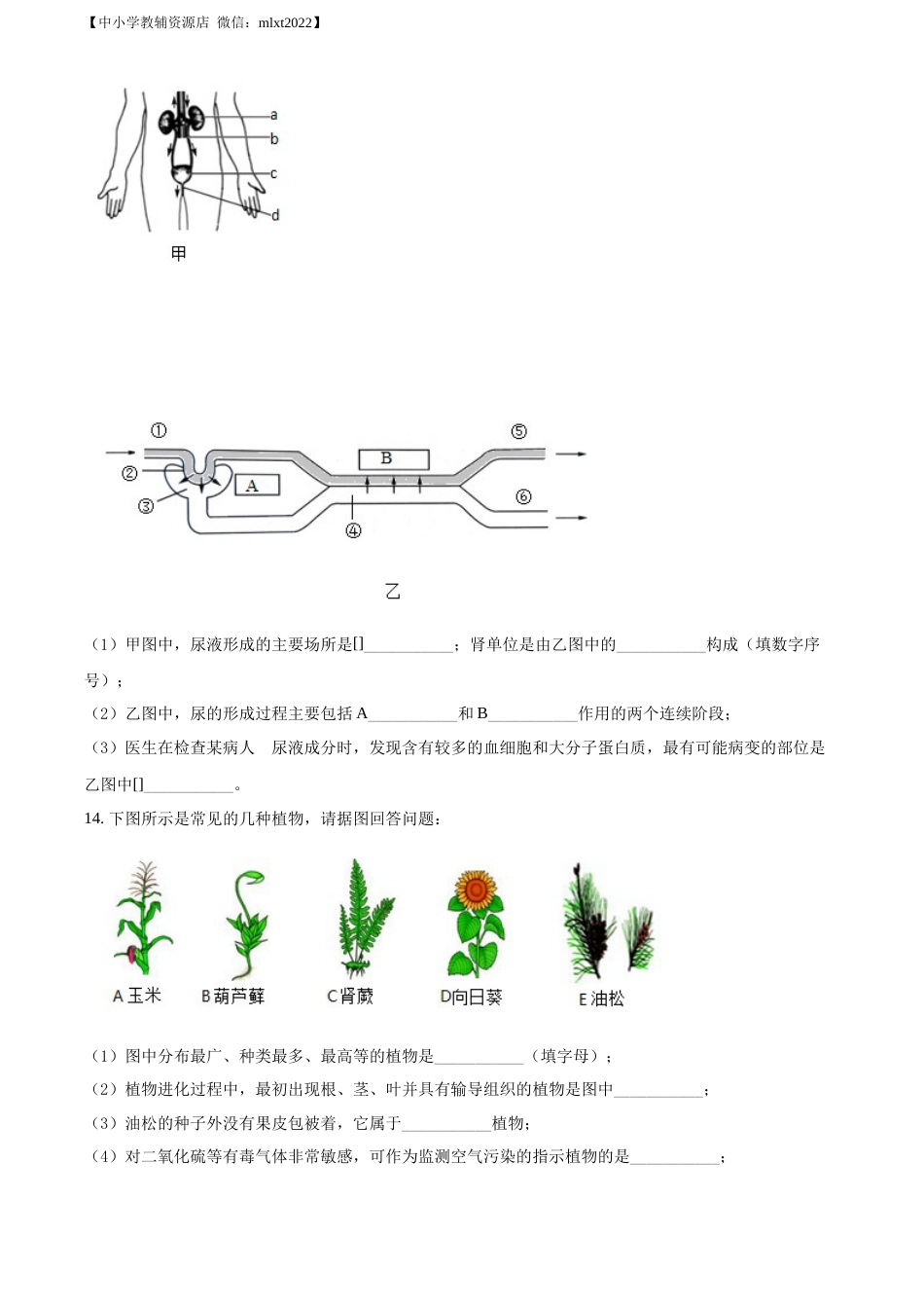 精品解析：2022年辽宁省本溪市中考生物真题（原卷版）.docx_第3页