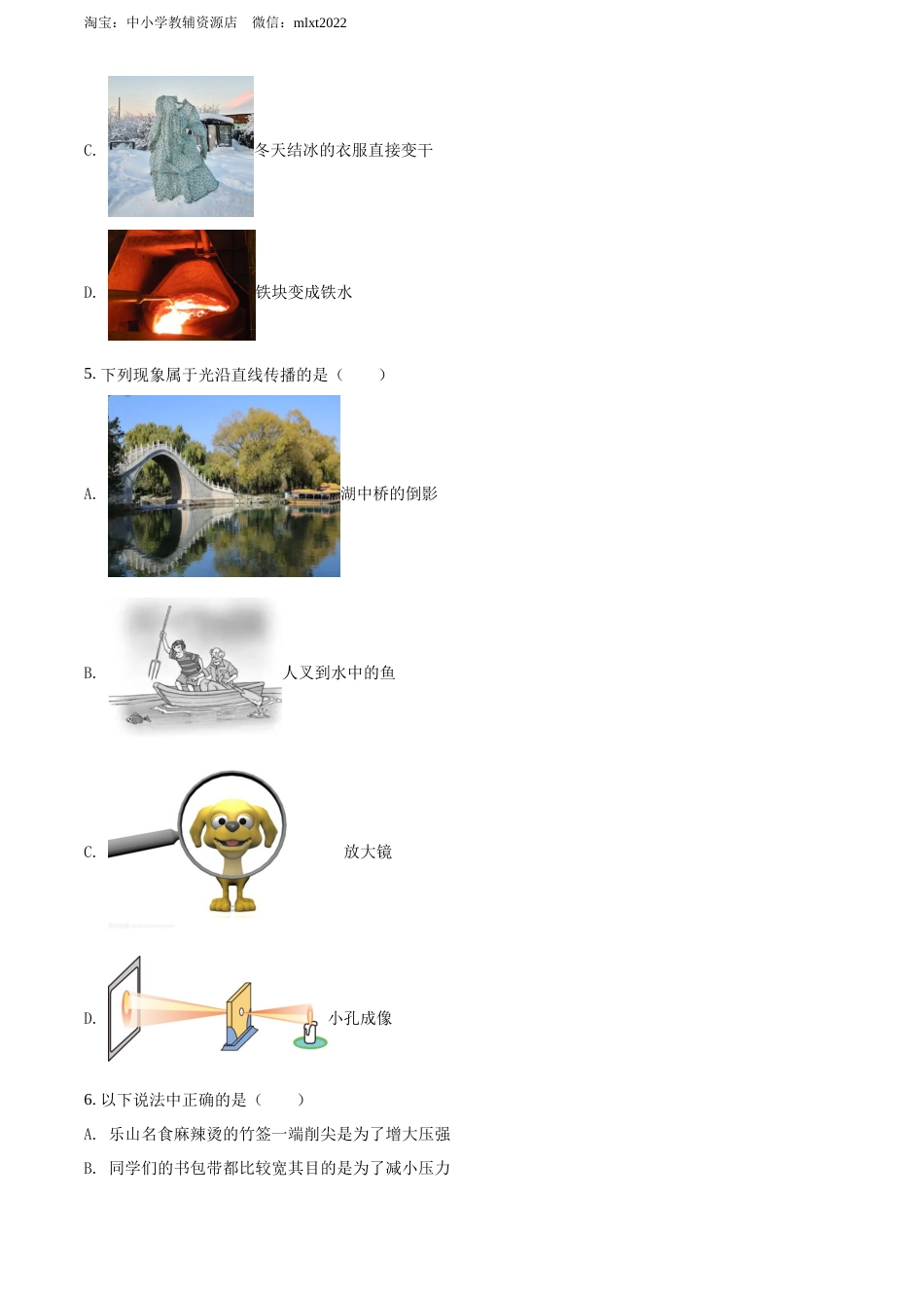 精品解析：2022年四川省乐山市中考物理试题（原卷版）.docx_第2页