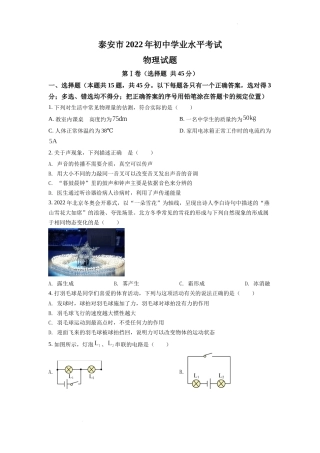 精品解析：2022年山东省泰安市中考物理真题（原卷版）.docx