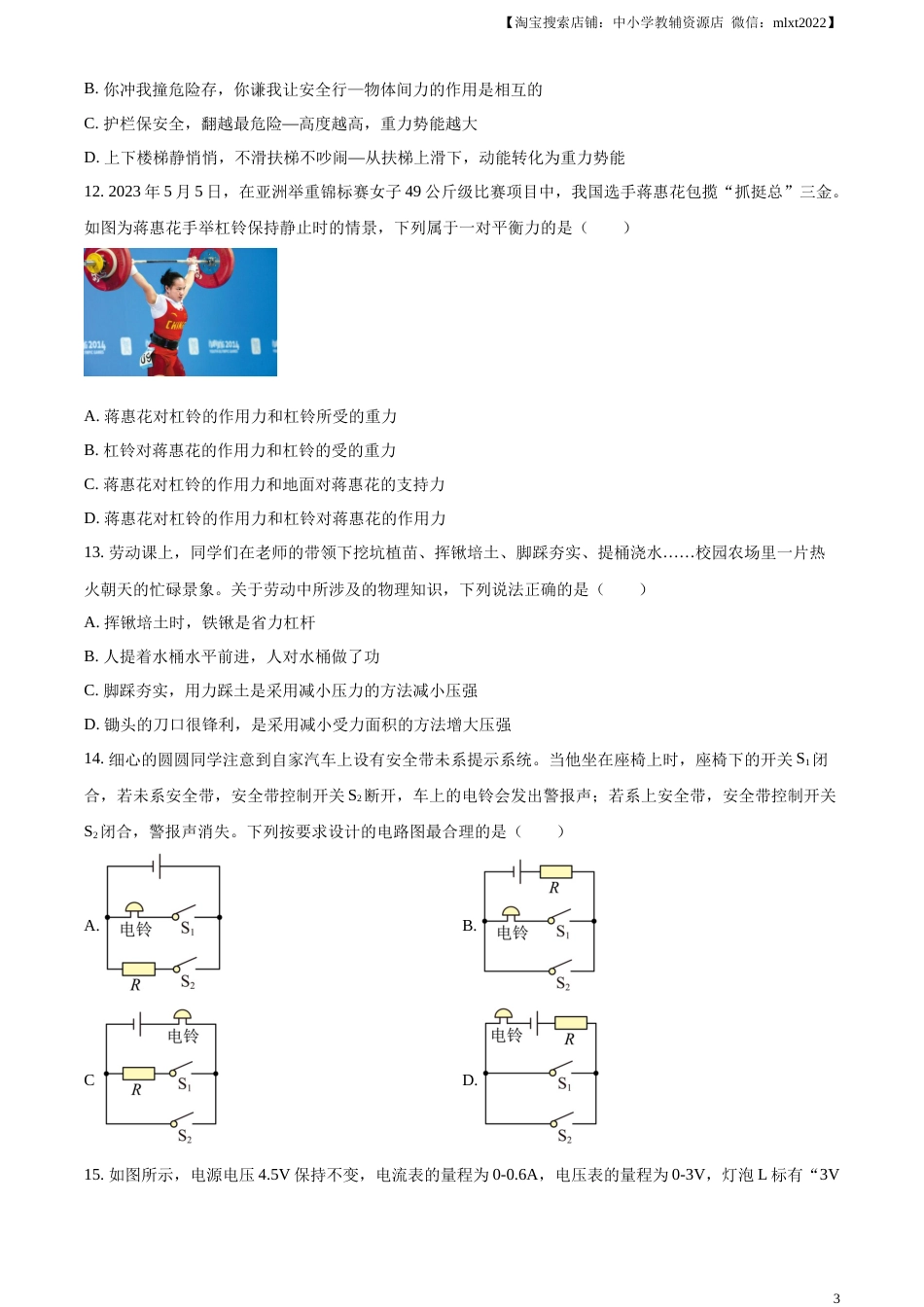 精品解析：2023年湖南省邵阳市中考物理试题（原卷版）.docx_第3页