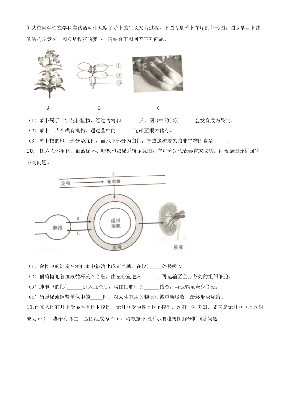 精品解析：甘肃省平凉市2020年中考生物试题（原卷版）.doc_第2页