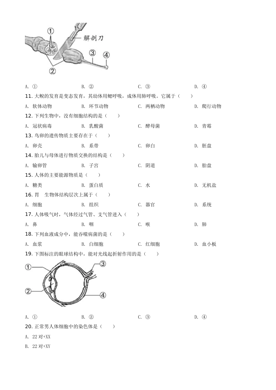 精品解析：福建省2020年中考生物试题（原卷版）(1).doc_第2页
