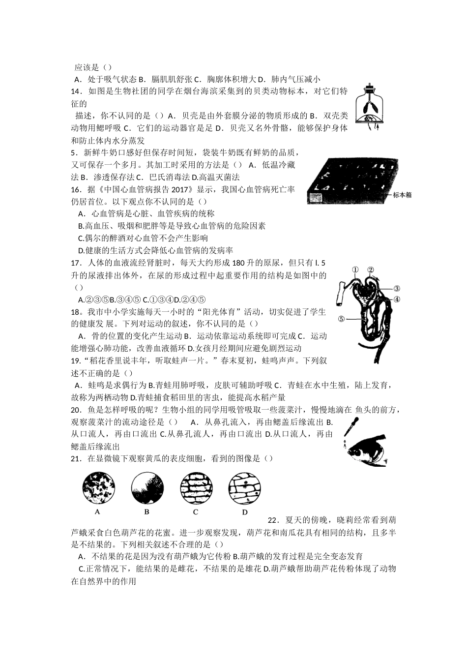 2018烟台市中考生物试题及答案(word版).doc_第2页