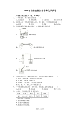 2019年山东省临沂市中考化学试题及答案.docx