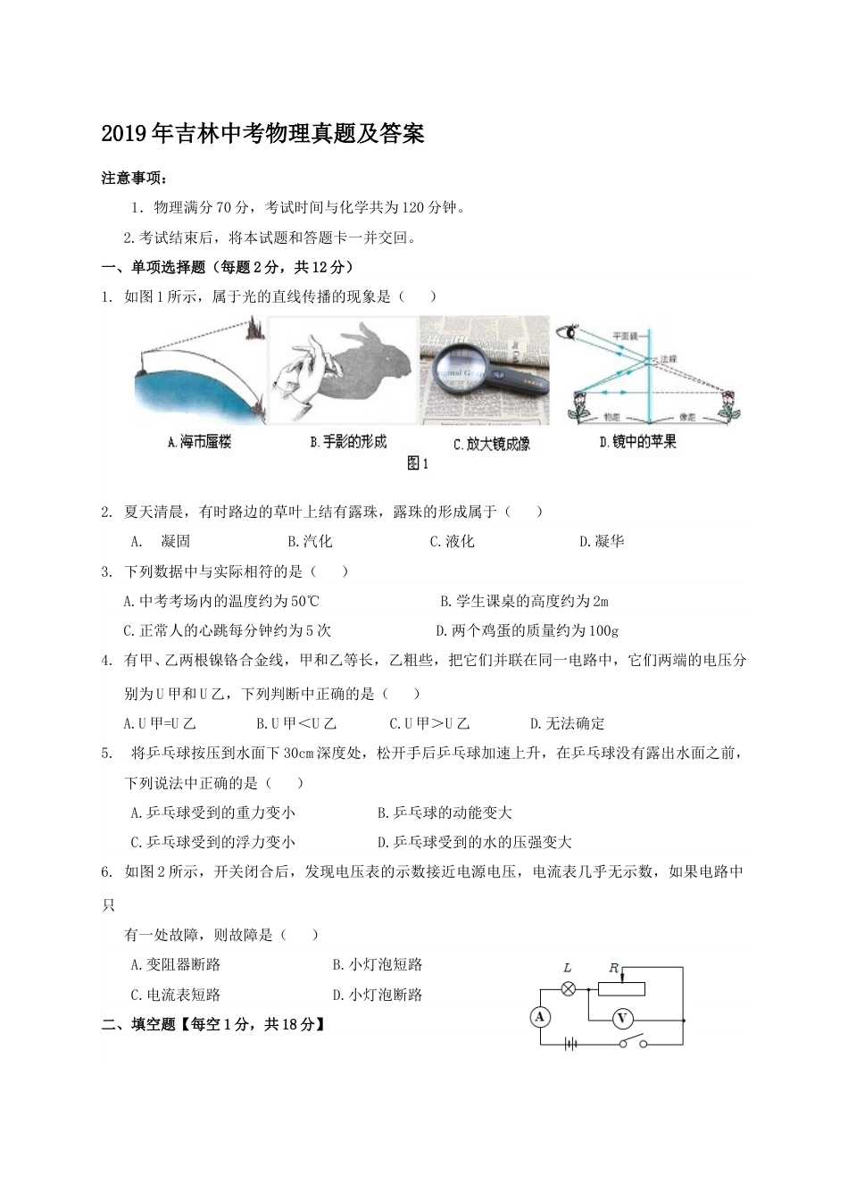 2019年吉林中考物理真题及答案.doc_第1页