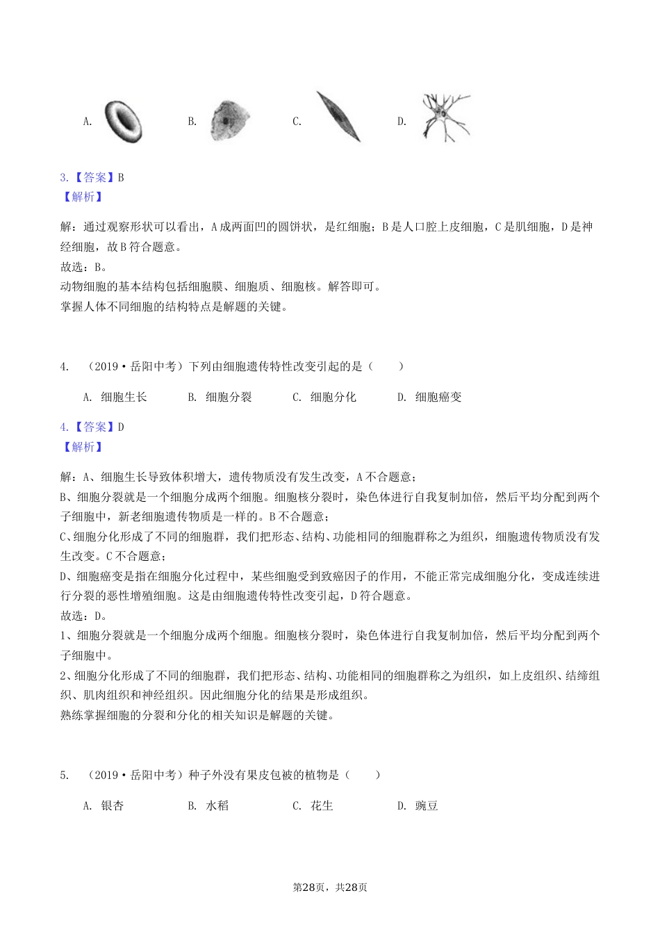 2019年湖南省岳阳市中考生物真题及答案.doc_第2页