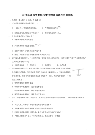 2019年湖南省娄底市中考物理试题及答案解析.doc