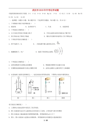 2019年武汉市中考化学试卷及答案.doc