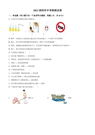 2021年广东省深圳市中考物理试题（原卷版）.doc
