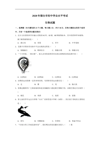 2020烟台市中考生物试题及答案(word版).docx