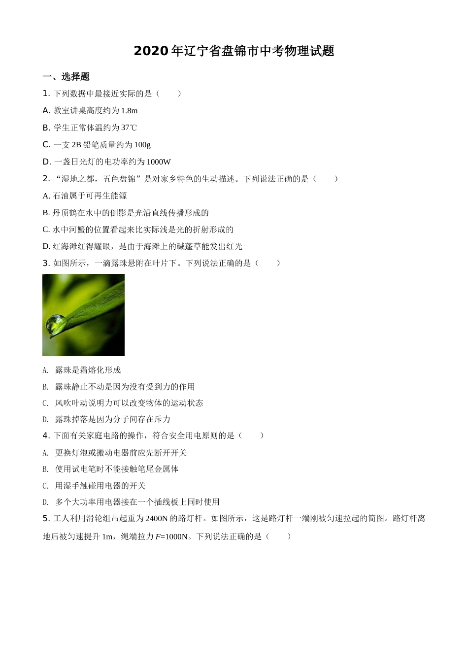 2020年辽宁省盘锦市中考物理试题（空白卷）.doc_第1页