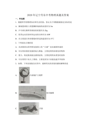 2020年辽宁丹东中考物理真题及答案.doc