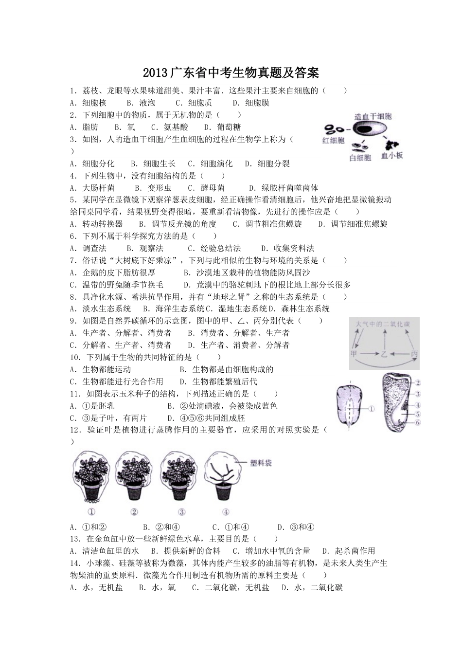 2013广东省中考生物真题及答案.doc_第1页