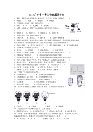 2013广东省中考生物真题及答案.doc