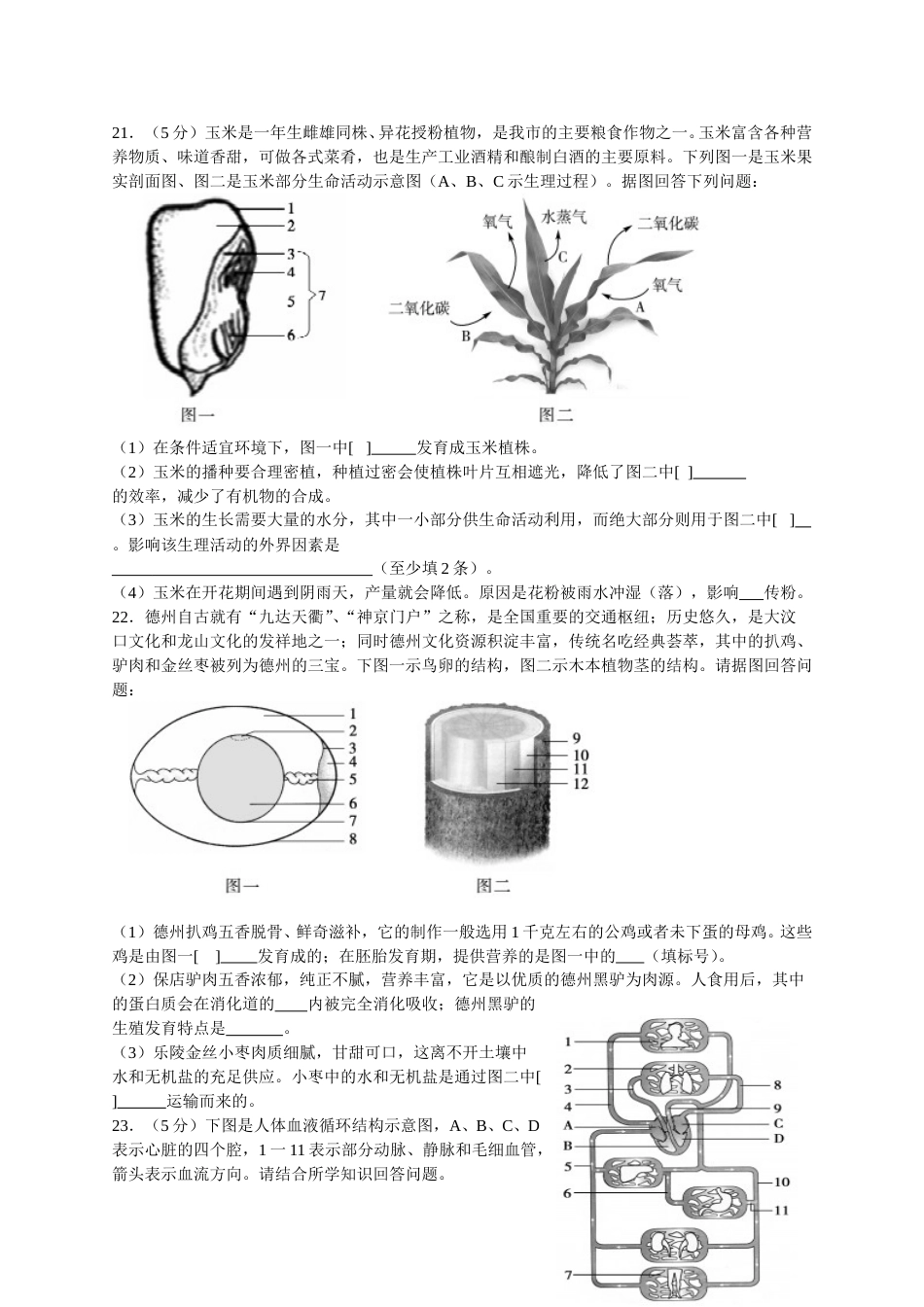 2017年德州市中考生物试题及答案.doc_第3页