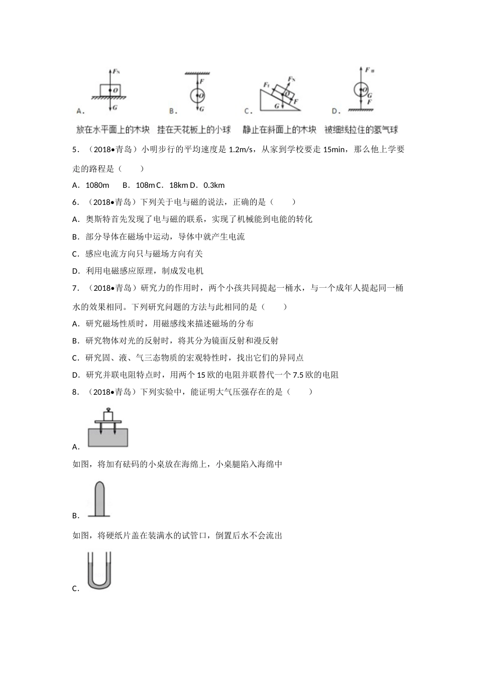 2018年青岛市中考物理试卷和答案.doc_第2页